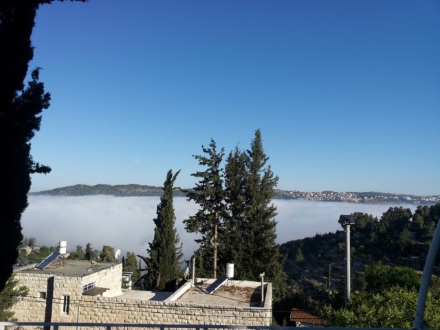 אברהמי – נוף האגם בעין כרם