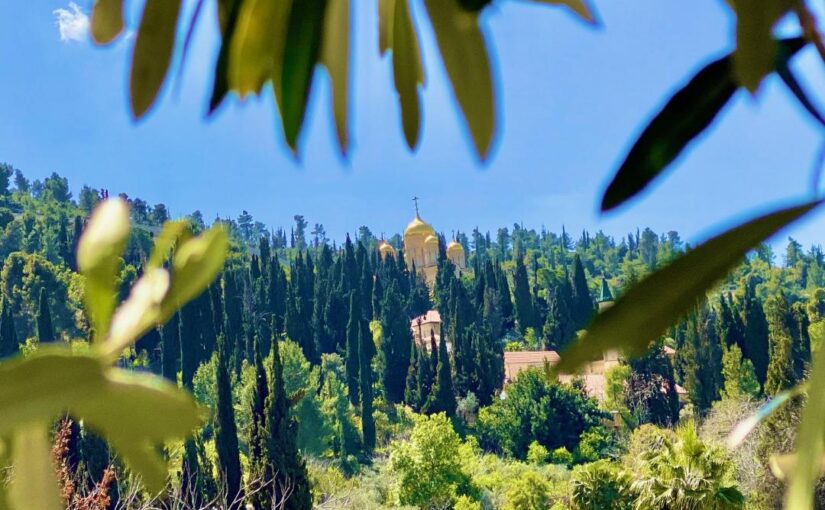 סיורים בירושלים ובאזור ים המלח – טיול שבת מושלם למשפחה